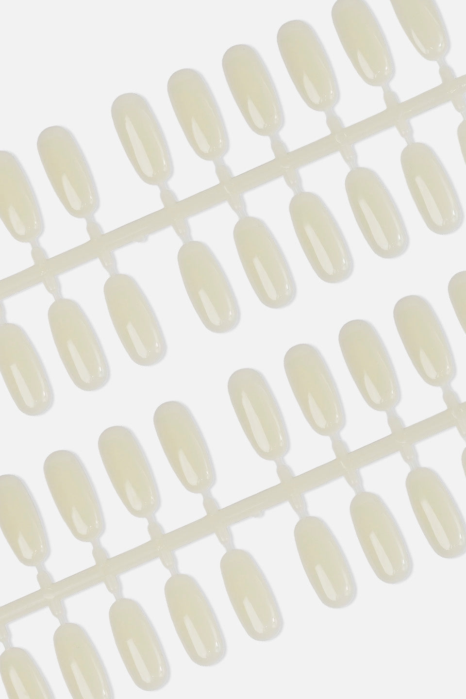 Primo piano di tip per unghie finte di forma ovale e colore naturale traslucido, disposte in file su supporti di plastica, ideali per prove smalto ed esibizione di nail art