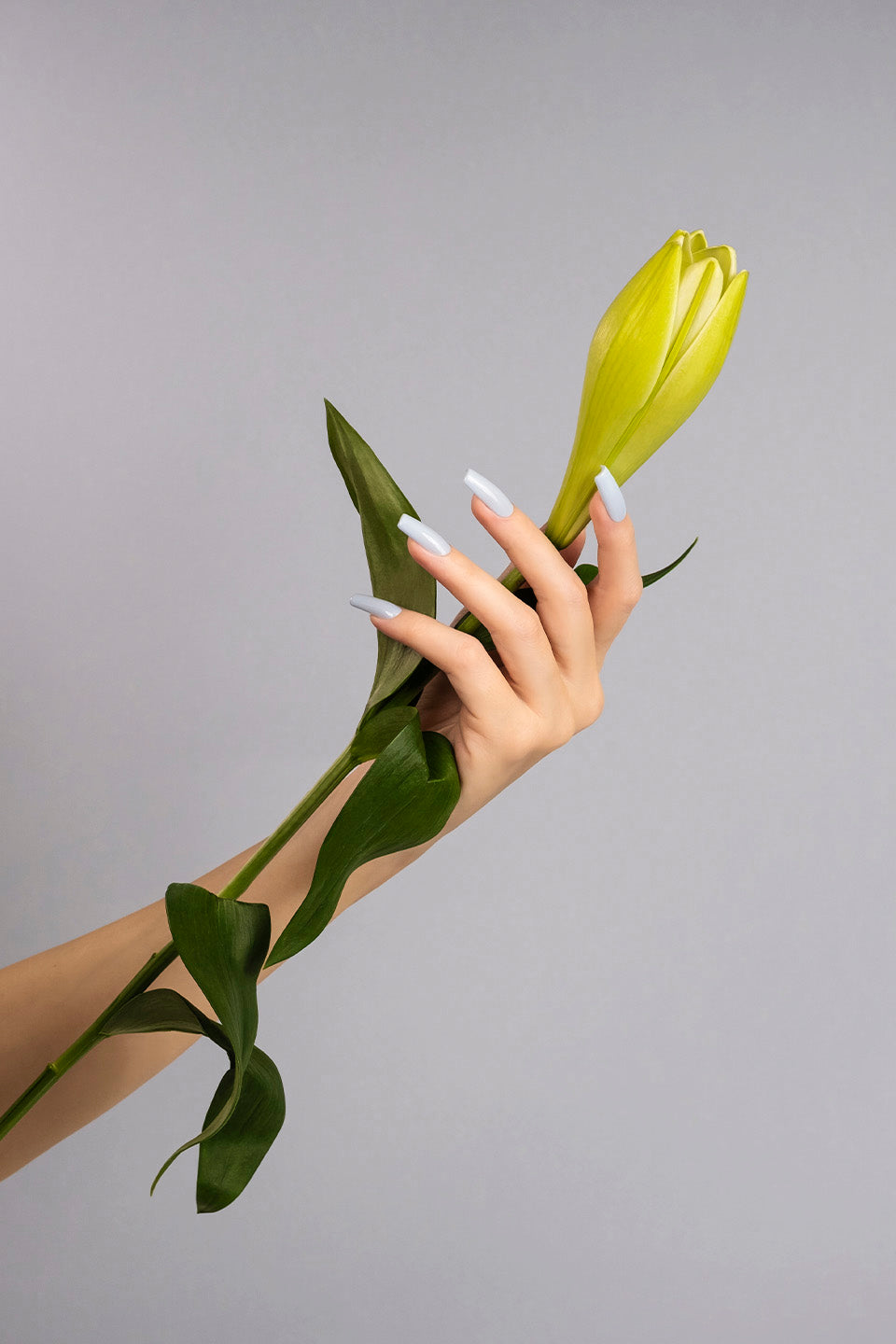 Smalto semipermanente azzurro chiaro Sofisticata 15 ml - Semipermanenti Colorati - Gamax