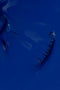 Smalto semipermanente blu acceso Blu Imperiale 15 ml - Semipermanenti Colorati - Gamax