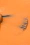 Esmalte permanente naranja Tramonto Hippy 15 ml