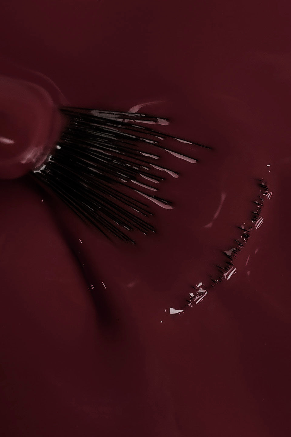 Dettaglio ravvicinato della texture fluida dello smalto semipermanente bordeaux scuro eclisse. Un pennello a ventaglio è immerso nel colore, mostrando la coprenza omogenea e la finitura lucida del prodotto durante la stesura.