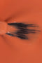 Inquadratura ravvicinata dall'alto che mostra la texture di uno smalto liquido color corallo chiaro. Al centro, le setole nere di un pennellino da stesura sono aperte a ventaglio e parzialmente immerse nel prodotto, evidenziando la consistenza fluida, cremosa e coprente dello smalto.