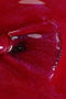 Smalto semipermanente fucsia Anguria 15 ml