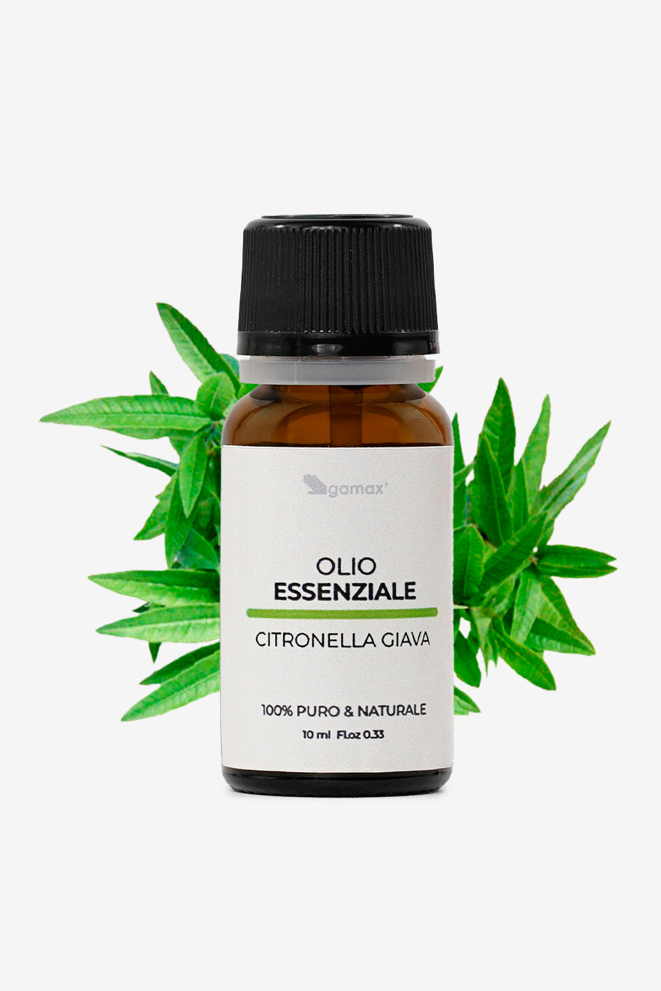 Confezione di olio essenziale di citronella posizionata davanti a foglie verdi e affusolate della pianta di Cymbopogon nardus su sfondo bianco