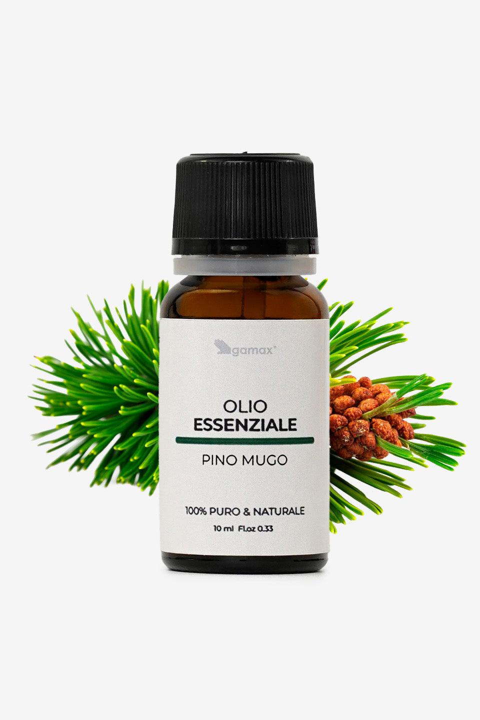 Flacone di olio essenziale di pino mugo presentato con rami di pino freschi e piccole pigne sullo sfondo su una superficie bianca pulita