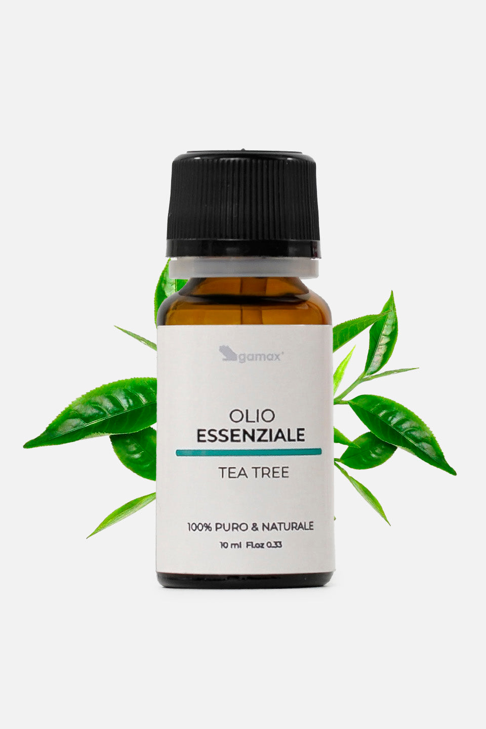 Flacone di olio essenziale di tea tree circondato da foglie verdi di Malaleuca Alternifolia su sfondo bianco