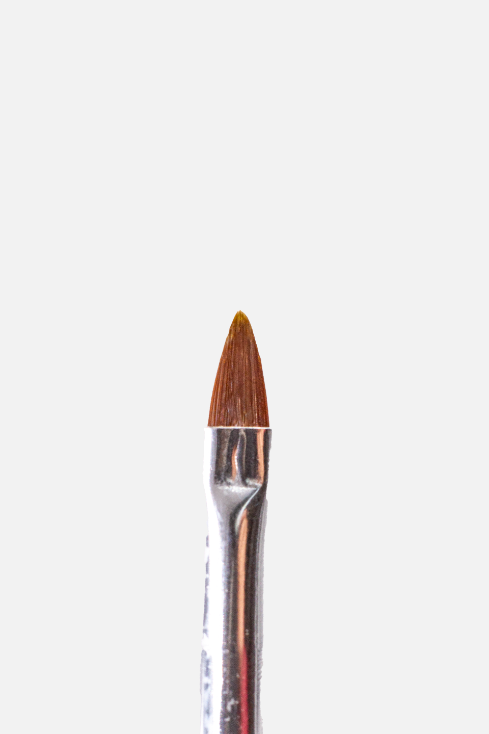 Set 10 pennelli per nail art