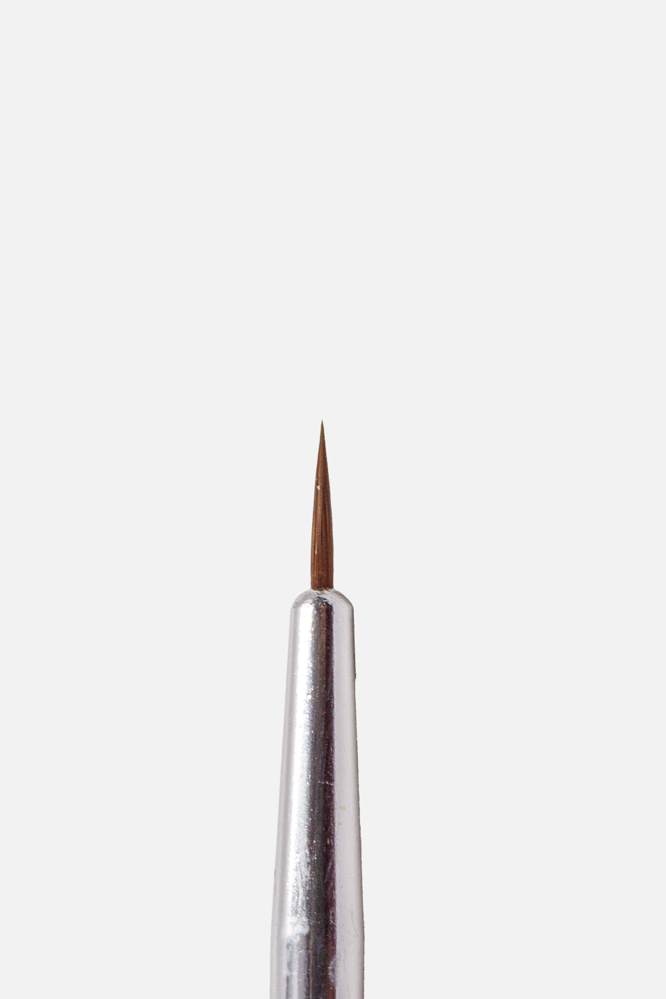 Set 10 pennelli per nail art