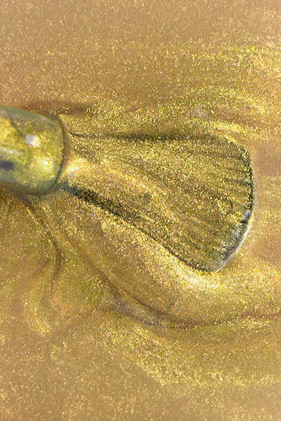 Macro della texture di uno smalto "Cat Eye" color oro antico. Un pennellino piatto stende il colore rivelando una superficie ricca di pigmenti magnetici e riflessi dorati brillanti, con una consistenza fluida e metallica.