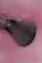 Esmalte permanente rosa Pink Charm 15 ml
