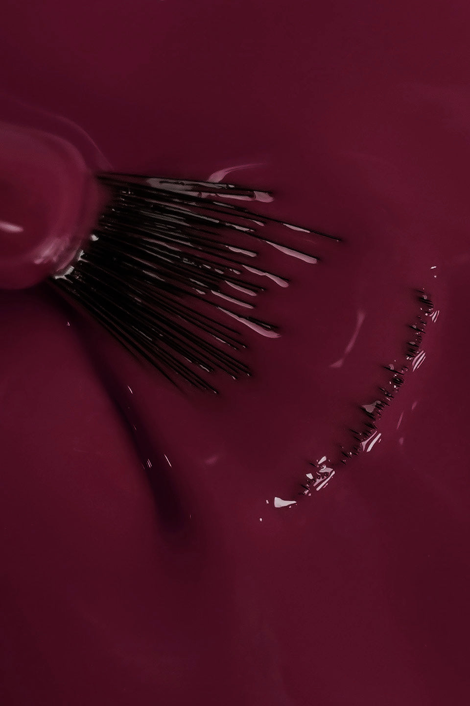 Dettaglio ravvicinato della texture fluida dello smalto semipermanente prugna scuro mistero. Un pennello a ventaglio è immerso nel colore, mostrando la coprenza omogenea e la finitura lucida del prodotto durante la stesura.