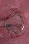Texture glitterata dello smalto semipermanente Sparkly Pink di Gamax